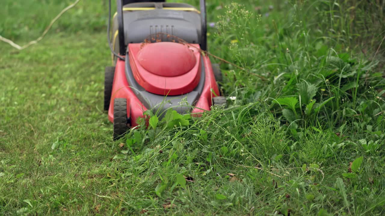 Electric lawn mower cutting grass. Gardener mowing green plants with special corded machine. Modern equipment for cutting grass in the yard.