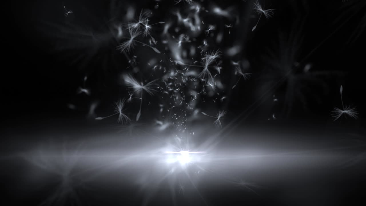 las semillas en bucle.