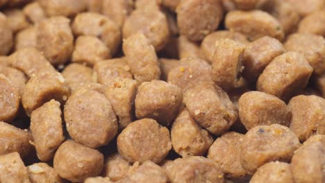 close-up of dog food kibble