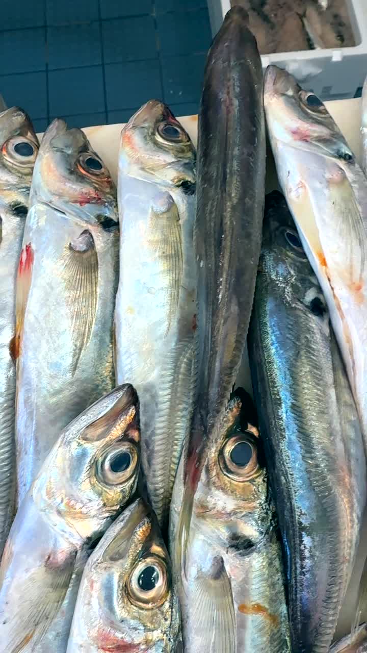 exhibición de pescado fresco en un mercado