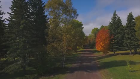 Colorful-Autumn-Trees-in-Minnesota