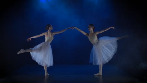 two ballerinas in a ballet performance