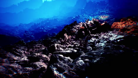 dark underwater landscape