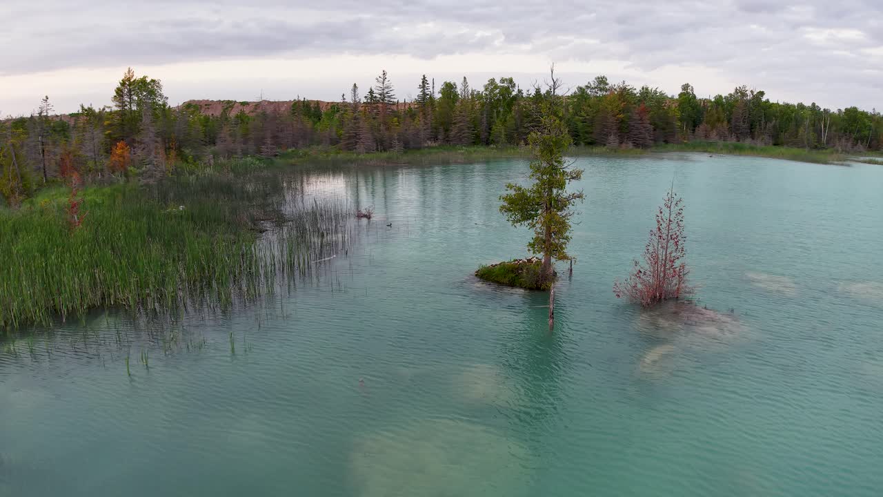 Aerial drone shot of turquoise quarry water with scattered trees and vibrant shoreline greenery
