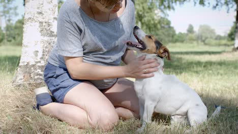 woman with her dog on the grass