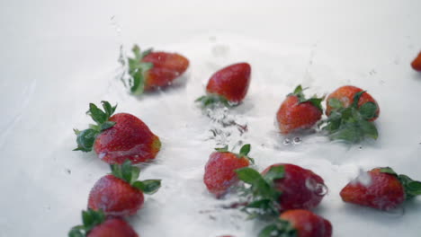 slomo of strawberries falling into water on white backdrop