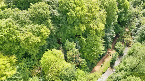 Drohnenaufnahmen-Zeigen-Einen-Britischen-Landschaftspark