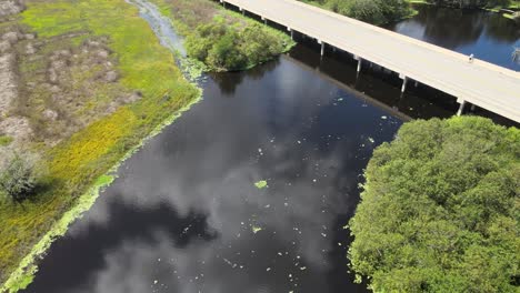 Alligator-Bridge,-a-famous-tourist-attraction,-spanning-over-the-Myakka-River,-in-the-Myakka-River-State-Park,-near-Sarasota,-Florida-Large-alligators-are-viewable-from-the-bridge