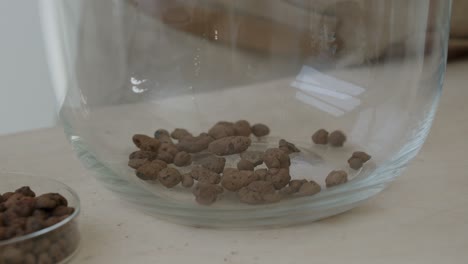 A-botanist-prepares-drainage-in-a-glass-terrarium-for-creating-the-small-live-plant-ecosystem-in-it---a-tight-close-up-shot