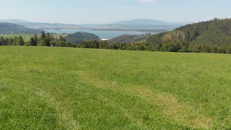 Cinematic-drone-tilt-up-shot-over-green-meadow-and-lake-in-distance