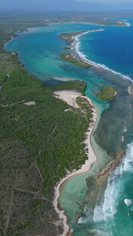 islets of mangroves and reef, playa caobita, dominican republic. aerial panning, copy space, vertical format