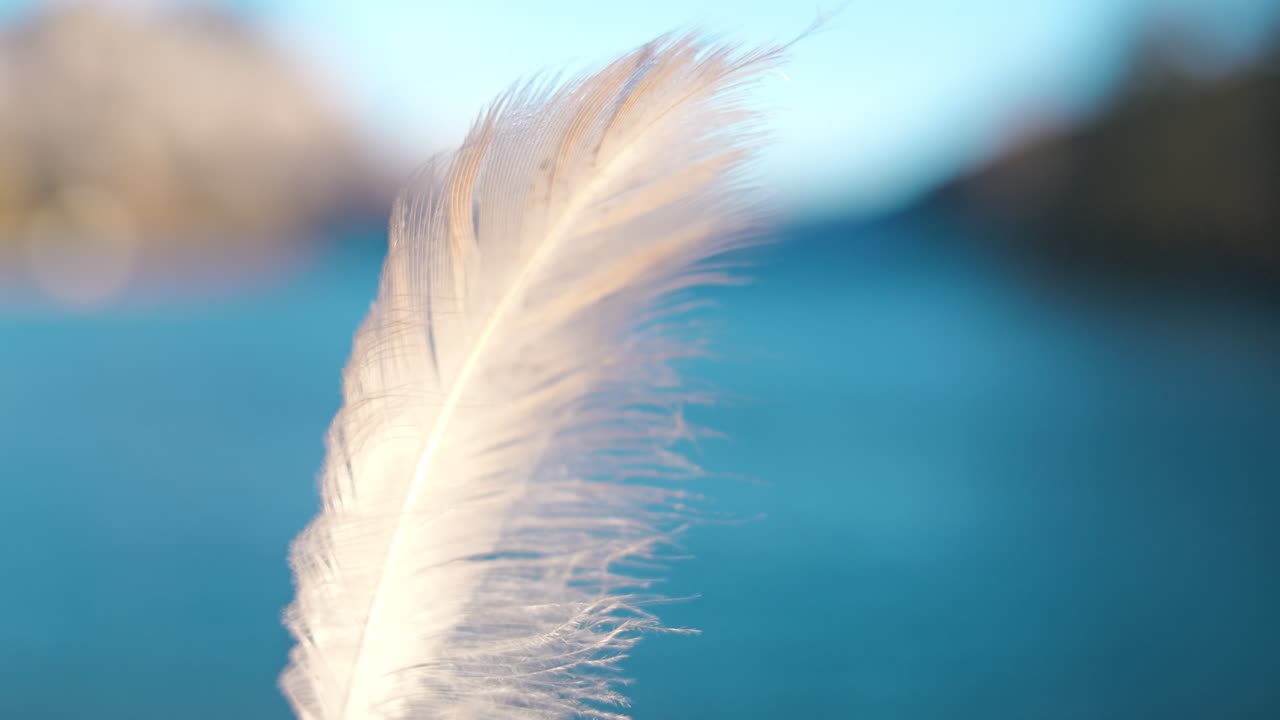 A delicate white feather sways in the wind, set against a softly blurred backdrop of Walensee, Switzerland. A serene and airy moment, capturing lightness and tranquility.