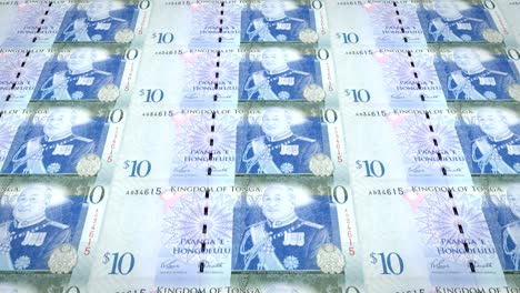 billetes de diez tongan pa'anga de tonga, dinero en efectivo, bucle
