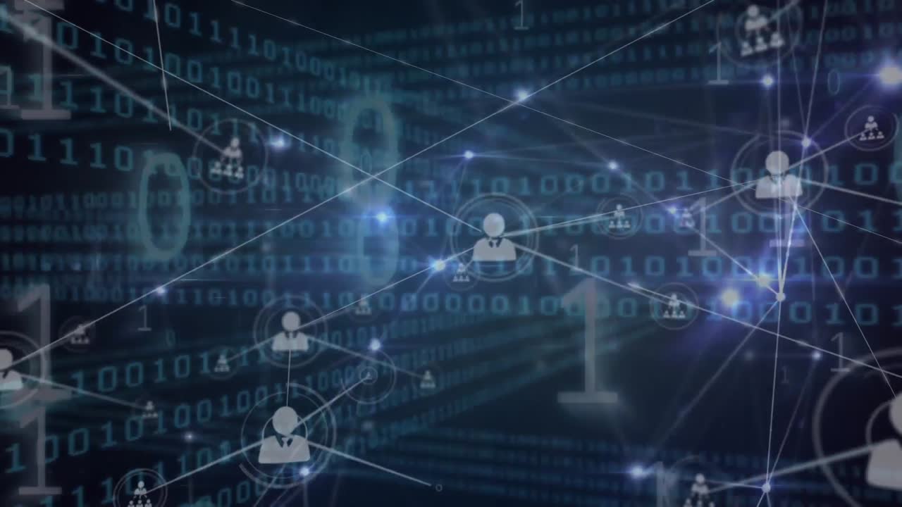 animación de la red de conexiones con codificación binaria