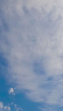 blue sky with light feather clouds spreading above. sun lights the small clouds floating by the horizon. low angle view. timelapse. vertical video