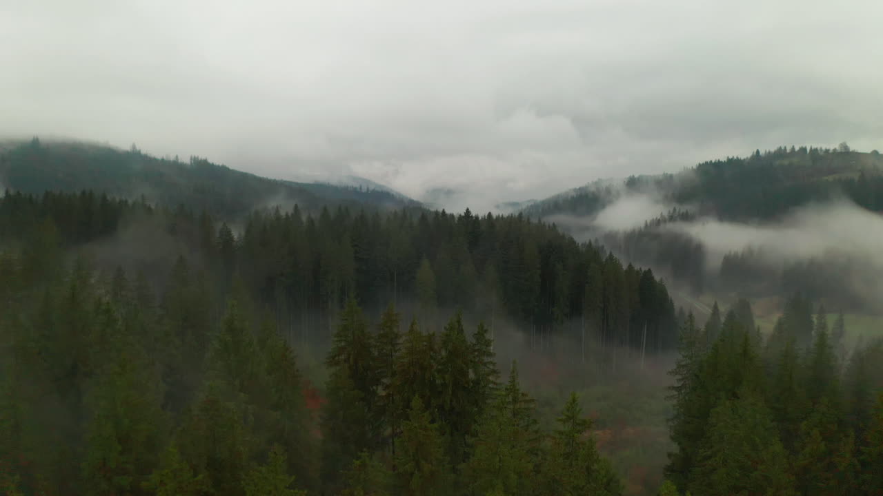 Aerial view of a foggy forest  with low hanging clouds after rain - stock video