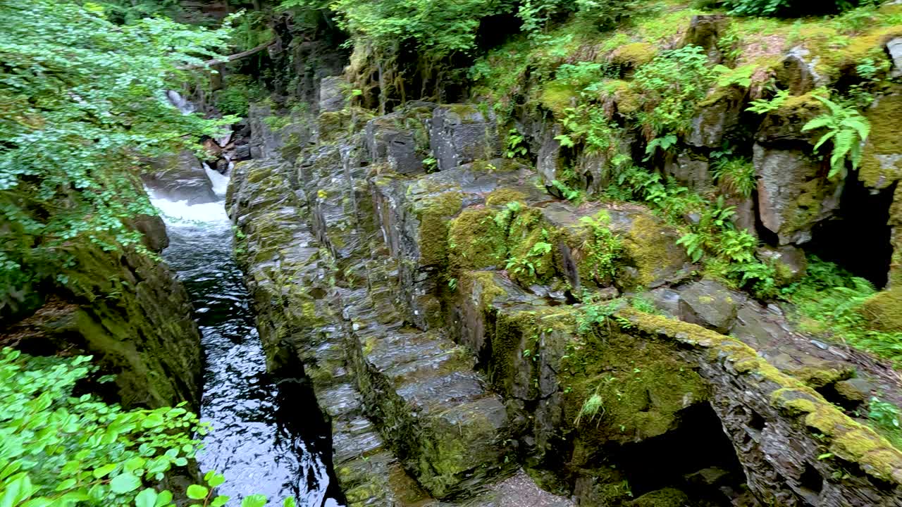 울창 한 초록색 이 조용 히 흐르는 하천 을 둘러싸고 있다