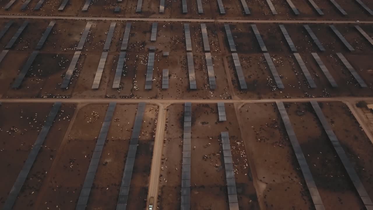Panoramica aerea verso il basso di un'enorme fattoria di bestiame, allevamento intensivo