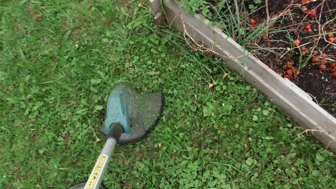 cortar hierba con recortadora de cuerdas, punto de vista de cerca, nadie, jardinería y cultivo de césped, mantenimiento de herramientas eléctricas del patio trasero, mejoras para el hogar