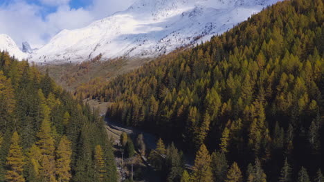 Ein-Blick-Auf-Die-Riesigen-Schneebedeckten-Berge-Aus-Dem-üppig-Grünen-Waldtal