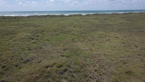 serene coastal dune landscape