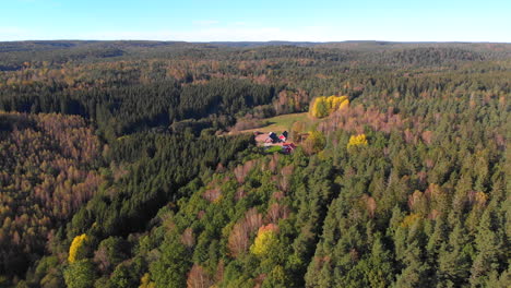 astonishing drone aerial view of forest landscape on sunny morning, sweden