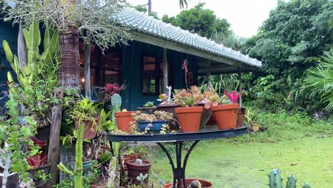 4k hd rustic cabin okinawa japan