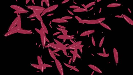 red feather soaring particle motion graphics