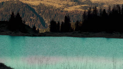 alpine lake with mountain forest