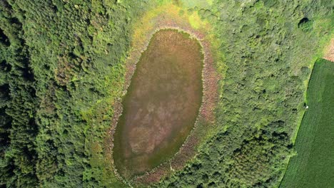 wild hidden, green lake, aerial video