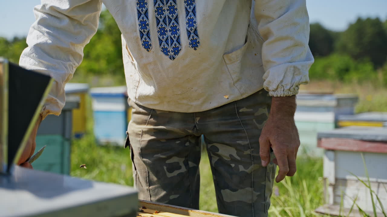 Farmer in a bee-garden. Beekeeper in a protective hat looking into beehives in an apiary in summer. Beekeeping concept.