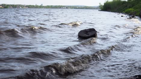 Waves are washing logs on the shore of the reservoir.