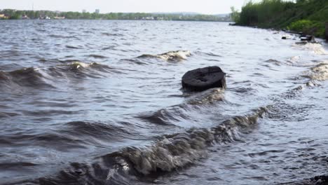 waves are washing logs on the shore of the reservoir.