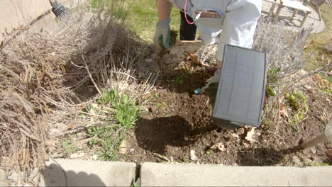 woman's hands pulling weeds for spring cleaning in the garden - slow motion