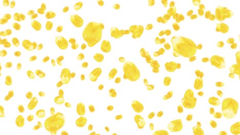 volando muchos granos de maíz en fondo blanco. semillas de maíz dulce amarillo. vegetariano. comida saludable. animación de bucle 3d de maíz girando.