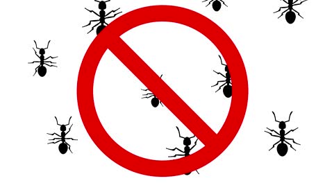 hormigas en el signo de prohibición