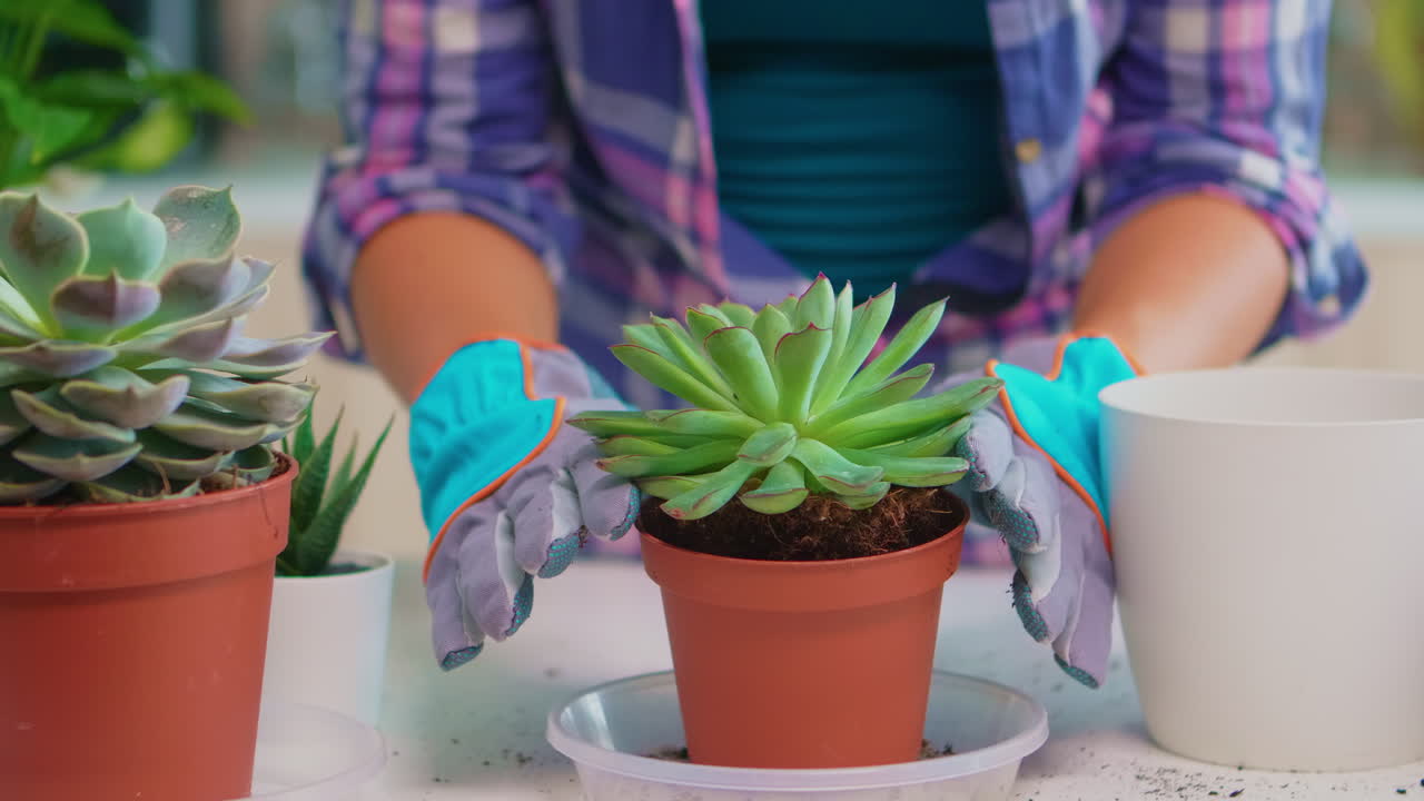 esposa hablando durante la cena