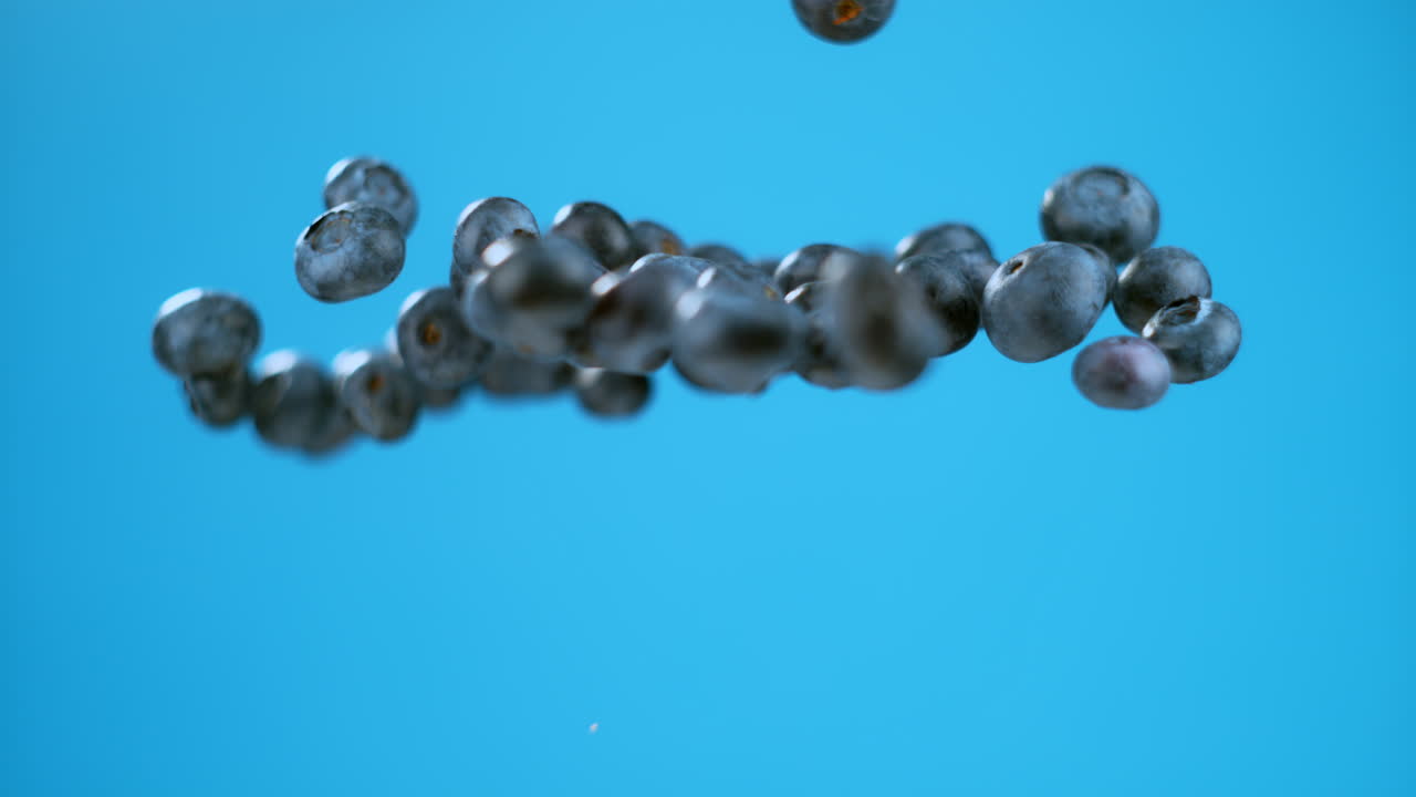 블루베리 한 무리가 공중에 발사되어 단 하나의 베리가 분리되어 있습니다.