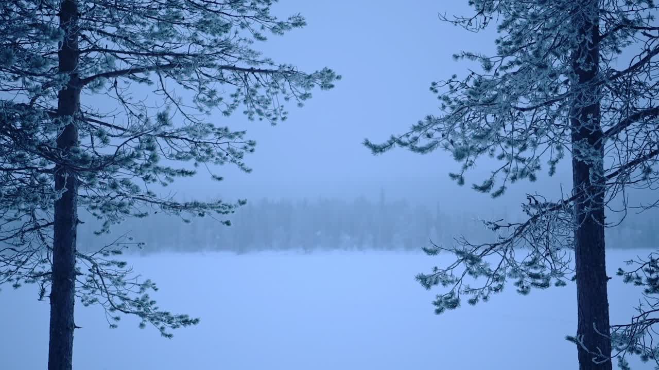 Forest landscape view over frost trees, in Lapland, Finland, on a moody day