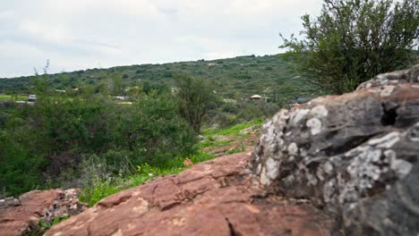 A-walking-gimbal-shot-of-a-trail-in-northern-israel