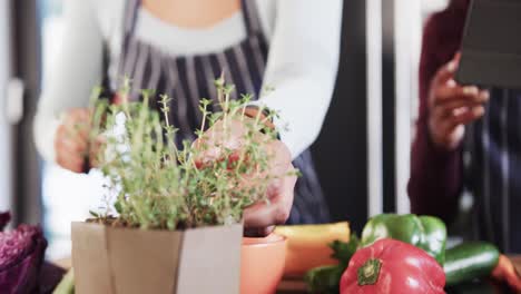 Midsection-of-biracial-lesbian-couple-cutting-herbs-and-using-tablet-in-kitchen,-in-slow-motion