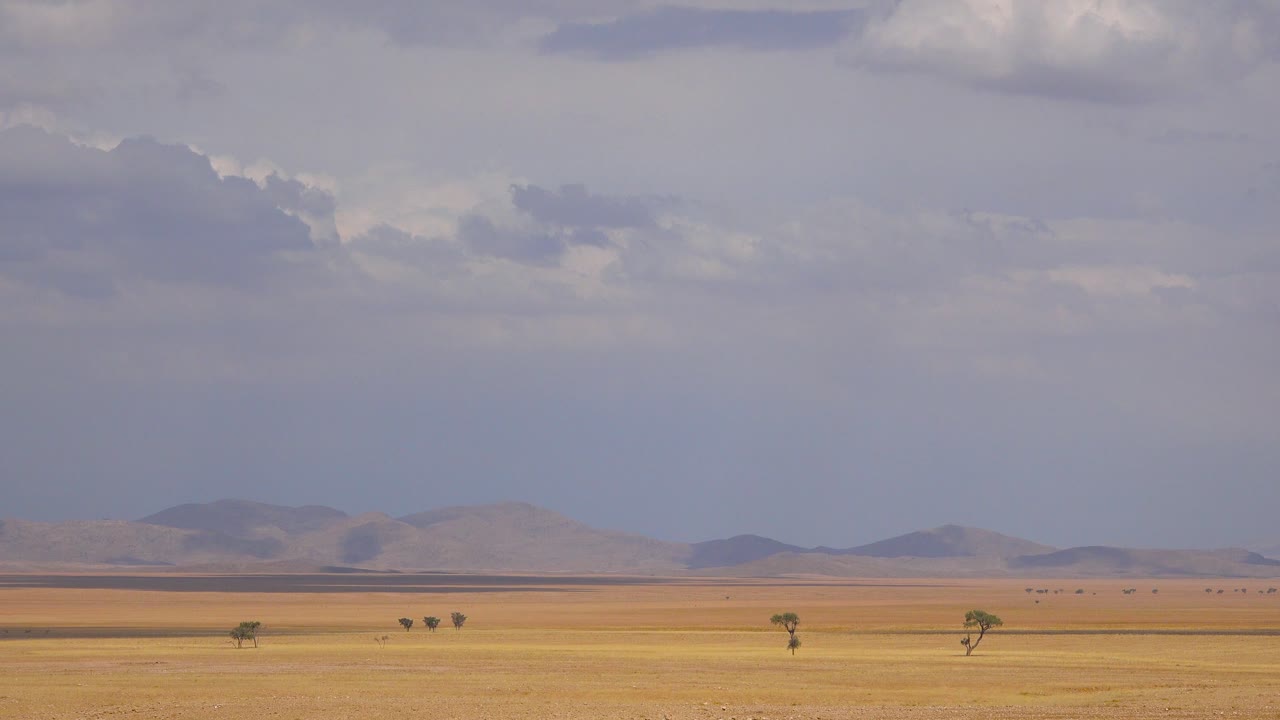 Time lapse of clouds moving over the barren grasslands acacia trees and savannah plains of Namibia