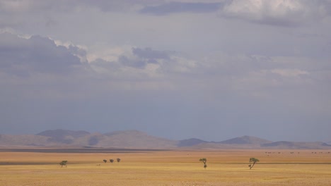 time lapse of clouds moving over the barren grasslands acacia trees and savannah plains of namibia