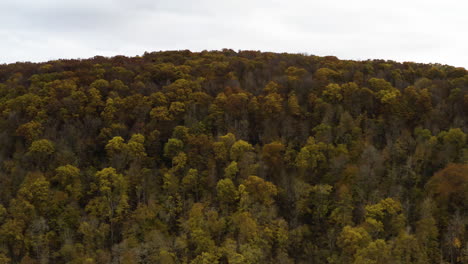 Cielo-Brillante-Sobre-La-Ladera-Redondeada-De-Follaje-Otoñal-En-El-Bosque-Nacional-De-Ozark,-Arkansas