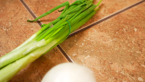 Cebollas-De-Todas-Las-Formas,-Colores-Y-Tamaños-Listas-Para-Usar-En-Sus-Recetas-Favoritas---Vista-Aislada-De-Arriba-Hacia-Abajo