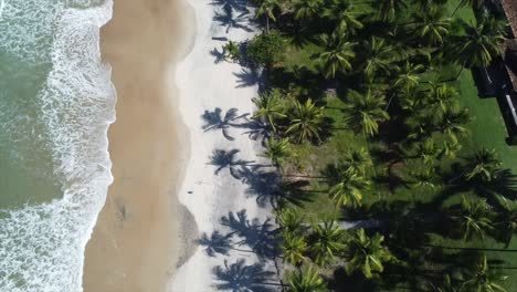 itacare, brasil por drone 4k océano atlántico brasileño desde el cielo playas y barcos-2