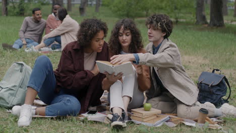students studying together in a park
