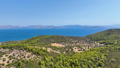 Imágenes-Aéreas-De-Pinos-Y-El-Mar-En-Ática,-Grecia.