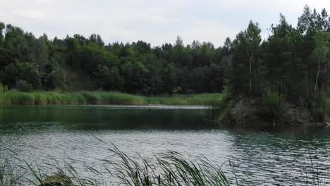 Niedriger-Blick-Auf-Den-Schönen-Sommersee-Mit-Gras-Im-Vordergrund,-Umgeben-Von-Wald,-Der-Nach-Vorne-Verfolgt