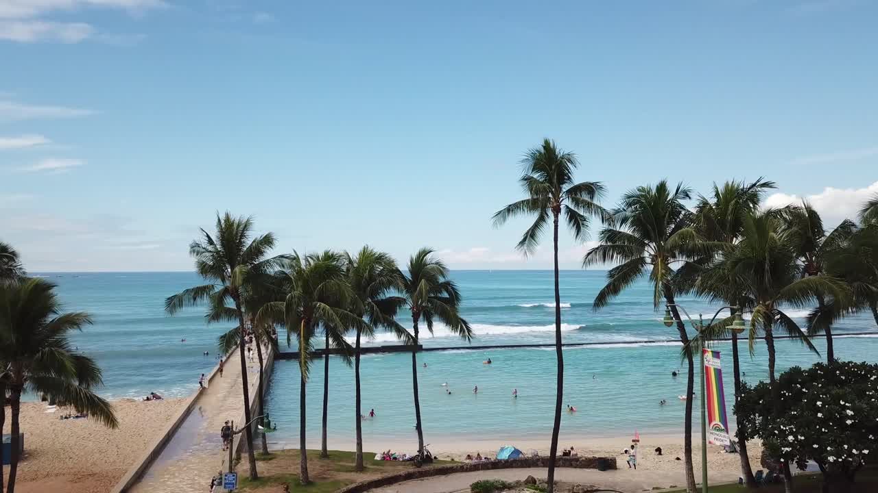 Vista aerea con drone delle Hawaii che sorvola le palme della spiaggia di Waikiki a Honolulu.